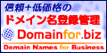 ドメイン
